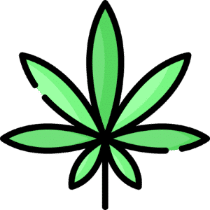 Iconic cannabis leaf representing CBD